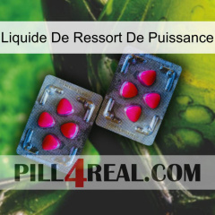 Power Spring Liquid 15